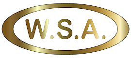 WSA Web Site Assistance